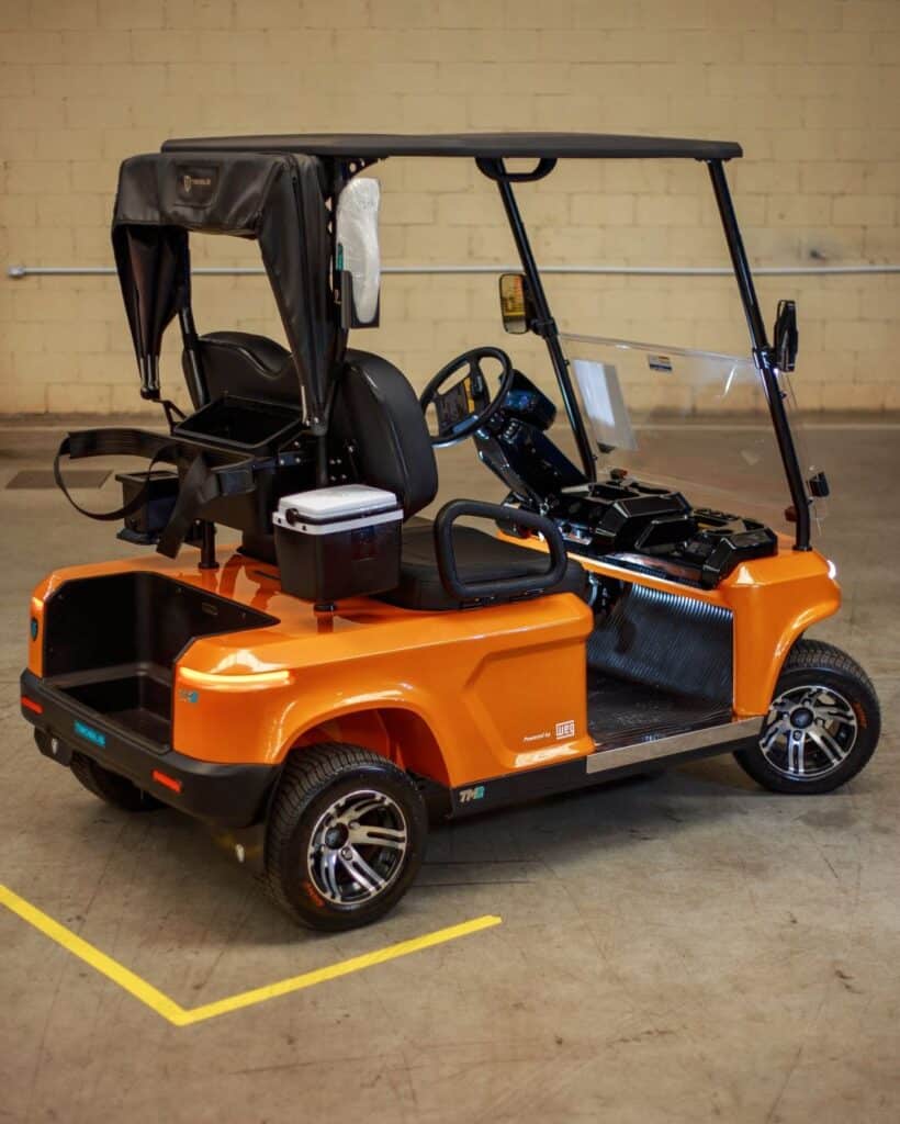 Carrinho de Golfe 02 lugares