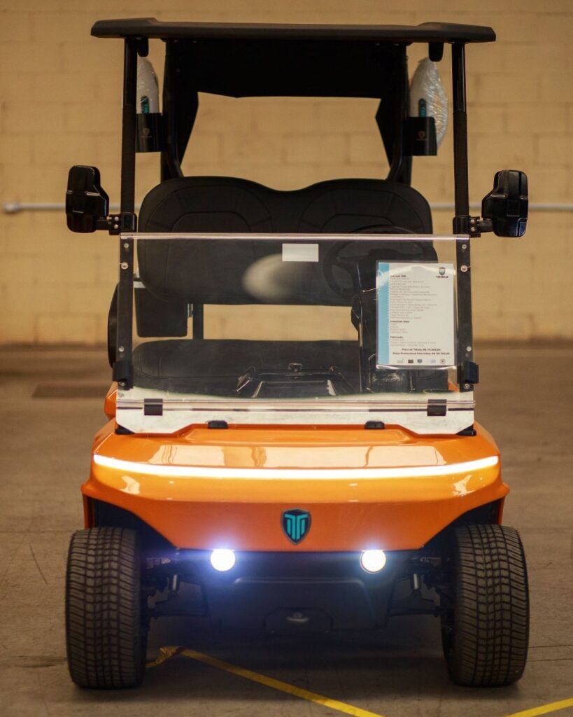 Carrinho de Golfe 02 lugares