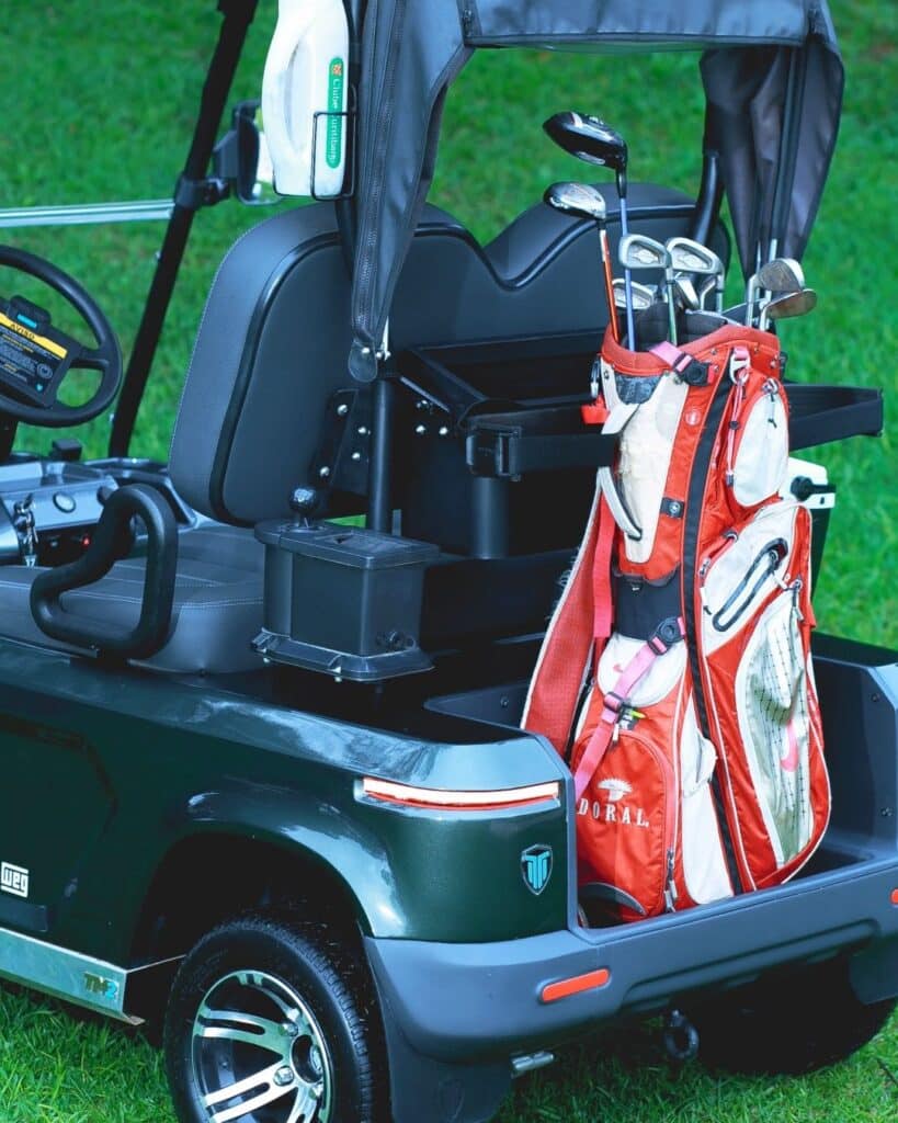 Carrinho de Golfe 02 lugares