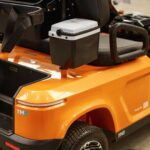 Carrinho de Golfe 02 lugares