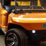 Carrinho de Golfe 02 lugares