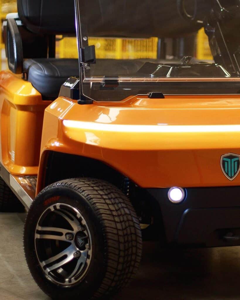 Carrinho de Golfe 02 lugares