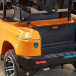 Carrinho de Golfe 02 lugares