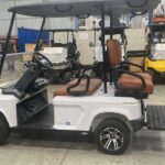 Carrinho de Golfe 04 lugares