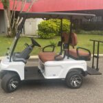 Carrinho de Golfe 04 lugares