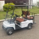 Carrinho de Golfe 04 lugares