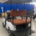 Carrinho de Golfe 04 lugares