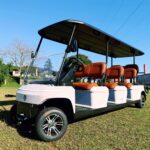 Carrinho de Golfe de 08 lugares
